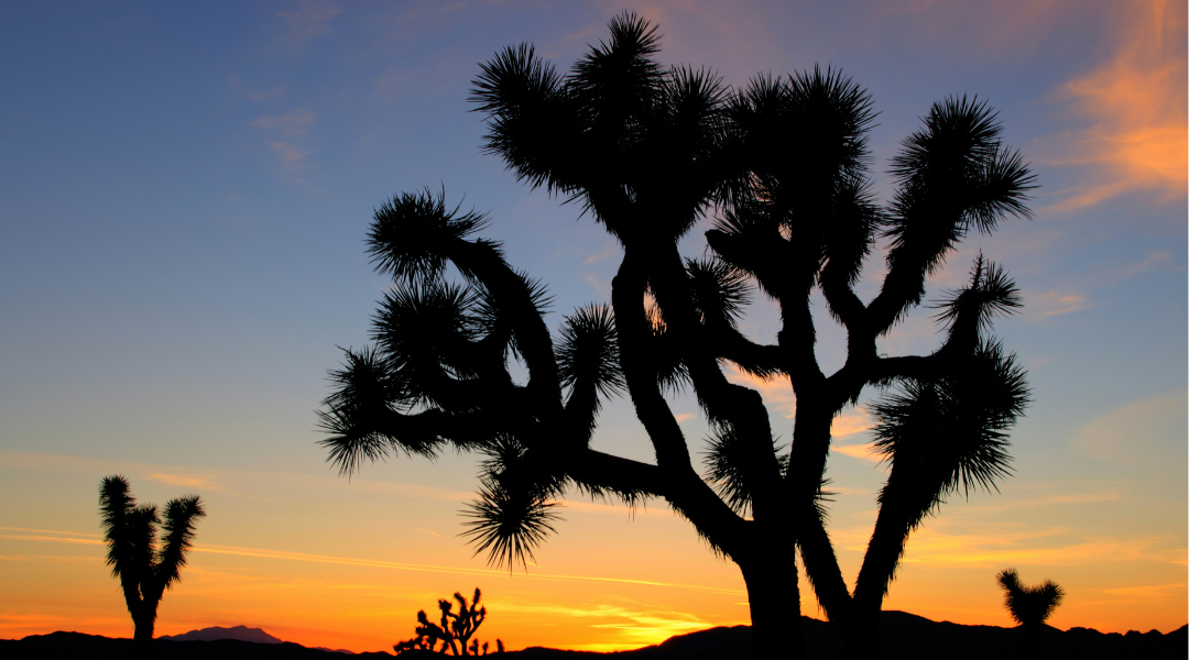 The Meaning Behind the Sunset Yoga Towel: Energy, Light and Expansion